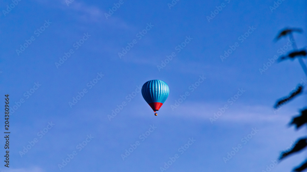 Fototapeta premium A colorful blue and red hot air balloon floating high in a clear blue sky with tree leaves in the foreground.