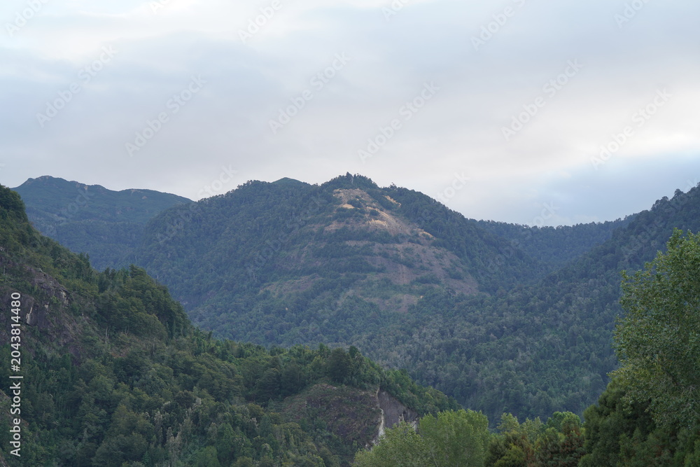 Fototapeta premium mountain with many trees and vegetation located in the river region of Chile