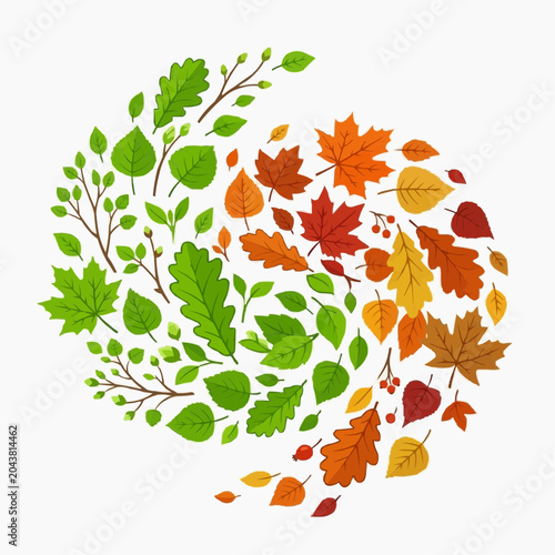 Autumn leaves and branches in a swirling pattern with green and fall colors