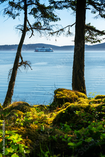 Salt Spring, Canada – May 27, 2026 - BC Ferry from Ruckle Park Salt Spring Island vertical. A BC Ferry viewed from Ruckle Provincial Park on Salt Spring Island. British Columbia, Canada.
