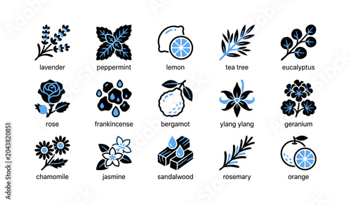 Essential oil plant icons showing herbs fruits and flowers grid
