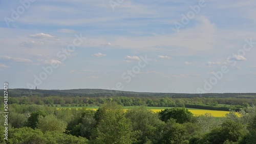 Real-time 11s left-to-right panning video of a green spring meadow, lush trees, and a bright yellow canola field. Calming footage for relaxation.