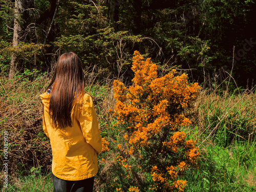 Quadro em tela Woman in yellow jacket stands before blooming bush with orange flowers