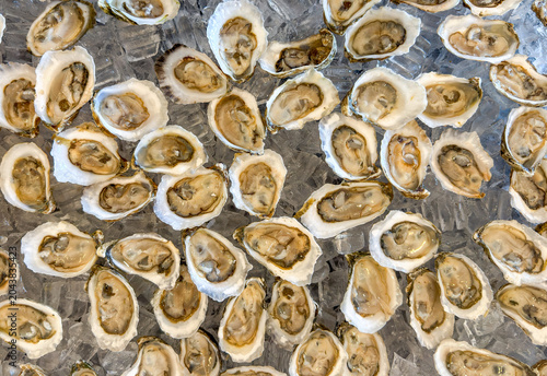 Fényképezés Platter of freshly shucked raw oysters displayed on crushed ice, showcasing shells, briny texture and glossy flesh for seafood markets, restaurants, catering and culinary presentations