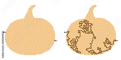 Maze challenge in pumpkin shape with solved path and answer key, Halloween autumn harvest labyrinth worksheet for children and adults on transparent background