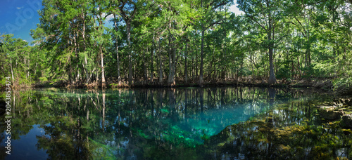 Panoramic view of manatee spring state park in florida