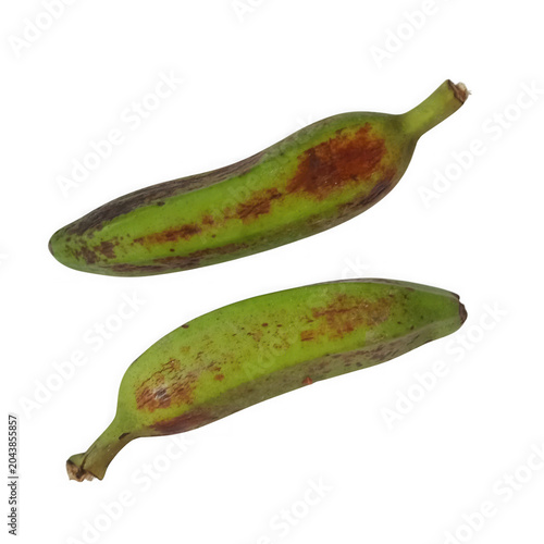 Schilderij op canvas Two fresh raw green plantains with brown spots isolated for cooking and healthy