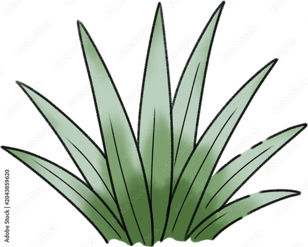 Fototapeta premium An illustration of a green plant with long leaves in a neutral environment