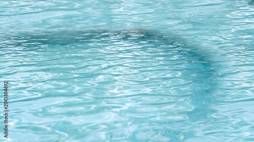 Crystal Clear Light Blue Pool Water with Gentle Ripples