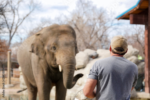 Denver Zoo, Denver, Colorado, USA - March 02, 2026: Elephant trainer interacting with an elephant during a public demonstration at a zoo.