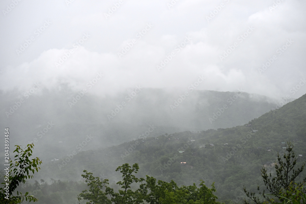 Obraz premium Rain in the Smoky Mountains