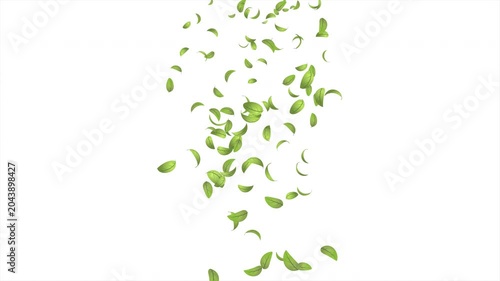 Green leaves flying animation. Realistic green leaf fall animation. Autumn spring season leaves fall background. Natural leaves animation background