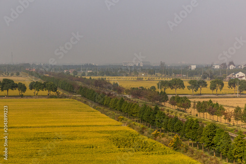 Photography Landscape of Songjiang district of Shanghai, China