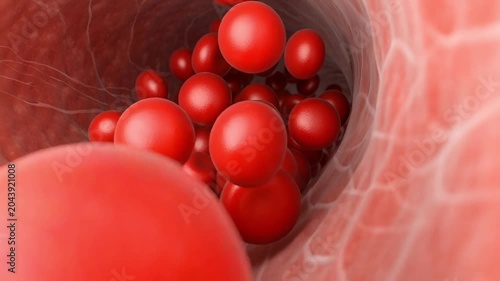 Microscopic 3D illustration of red blood cells flowing through a human vein or artery