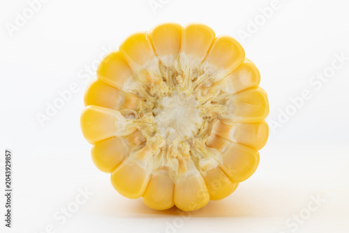 Yellow Corn Cross-section Close-up