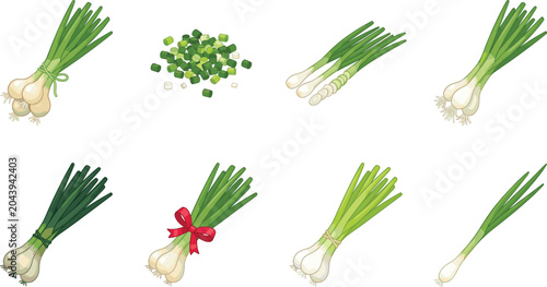 Fotografija Fresh Green Onion and Scallion Illustrations Set Showing Whole and Chopped Sprin