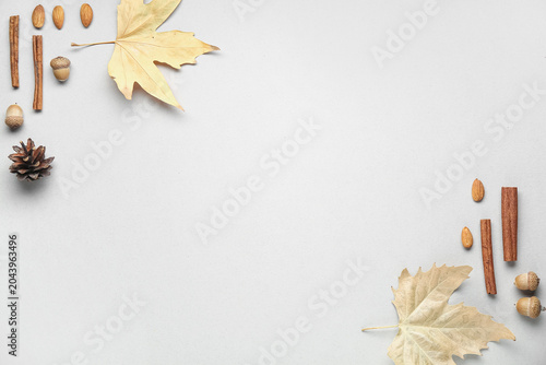 Tableau sur toile Composition with fallen leaves, cinnamon sticks, almond nuts and acorns on grey