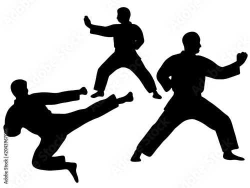 Silhouette of Martial Artists Performing Karate Moves