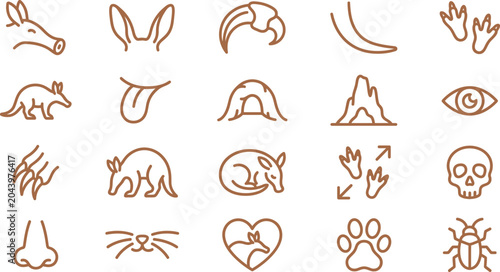 Foto Minimalist vector illustration set depicting aardvark anatomy and behavior using