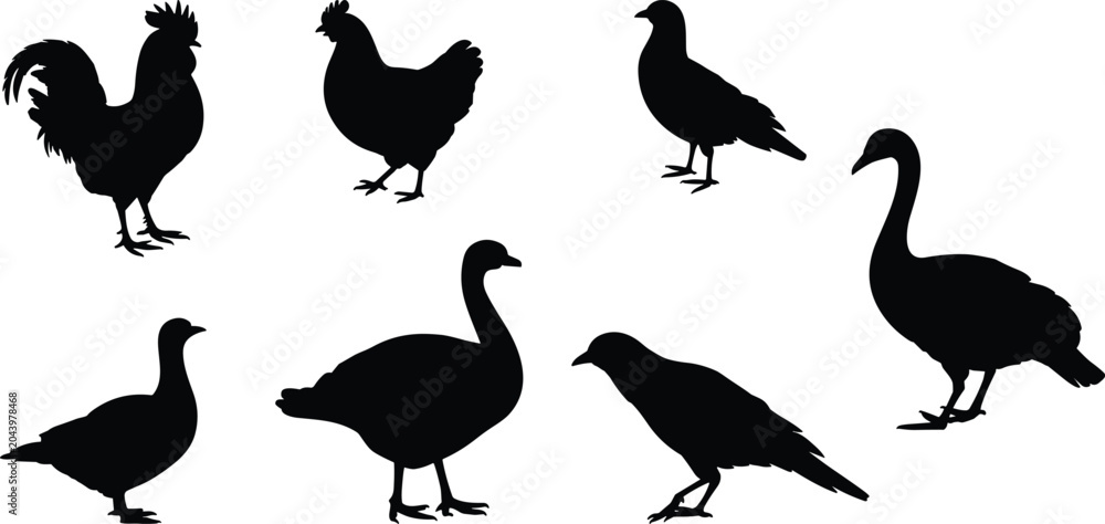 Obraz premium Collection of black bird silhouettes including rooster hen goose duck pigeon and crow isolated on white background for design