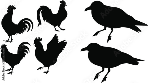 Foto Collection of black bird silhouettes featuring roosters and crows in various pos