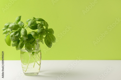 Glass with fresh green basi...