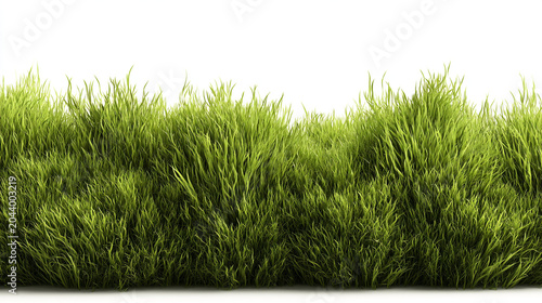 Thick lush green grass brush isolated on white background for landscape design with landscape