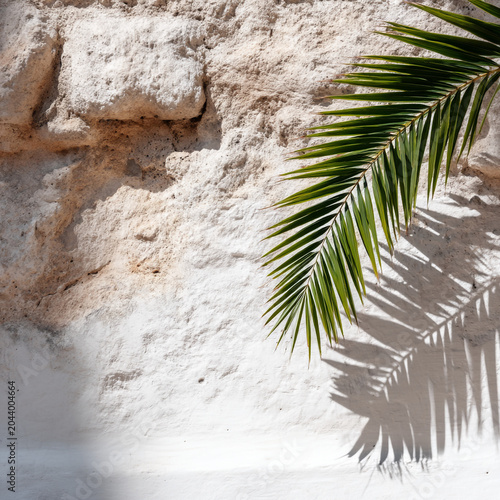 Green palm frond branch against rustic rough stone wall in bright natural sunlight with tropical