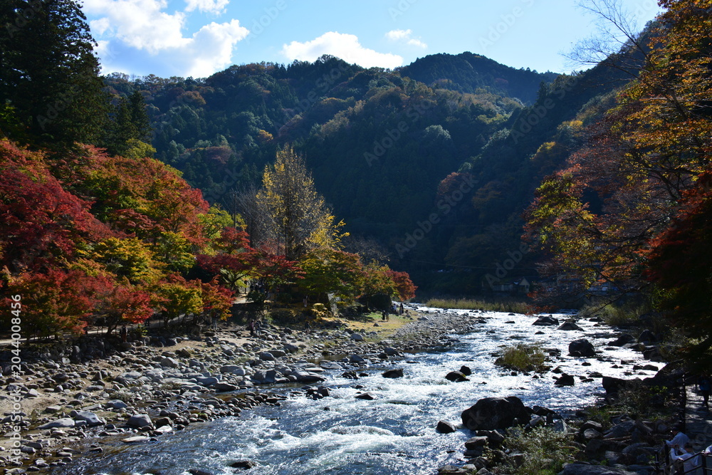 Fototapeta premium 愛知県 豊田市足助町の香嵐渓