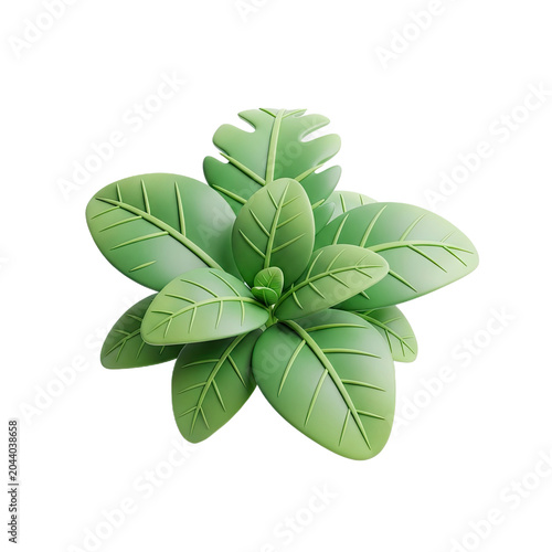 Fresh Green Basil Plant Leaves Isolated on White Background.