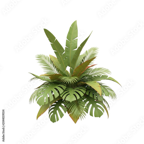 Lush Tropical Plant Arrangement with Diverse Foliage.