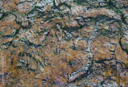 Billede på lærred Natural textured granite rock surface with detailed moss and mineral patterns ba