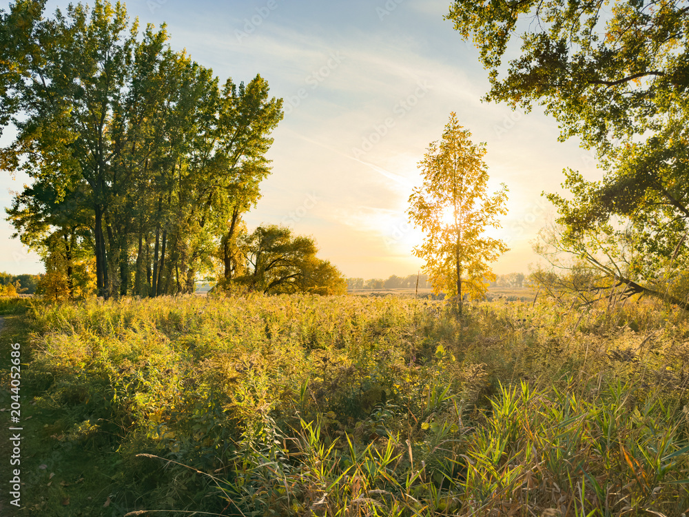Fototapeta premium Montreal landscape