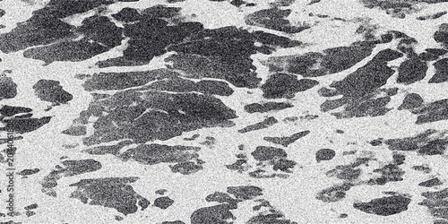Abstract monochrome texture with irregular dark shapes and a fine grainy background resembling water foam or natural patterns for artistic and design purposes