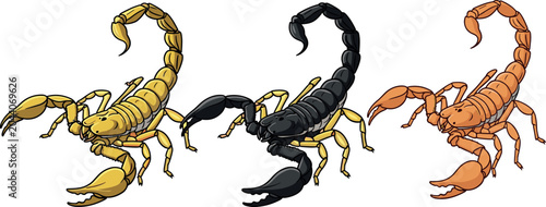 Schilderij op canvas Yellow Black and Orange Scorpion Illustration Set with Detailed Claw and Tail fo