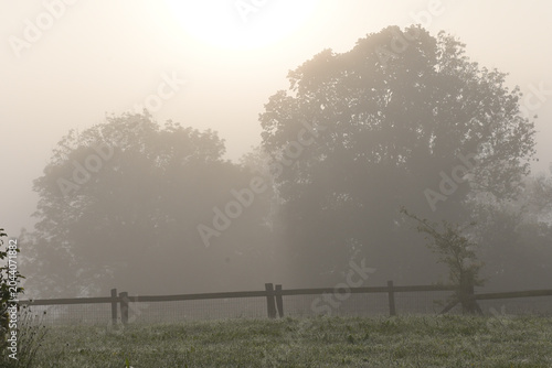 brume en normandie