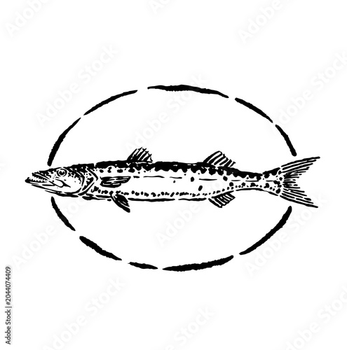 Illustration of a barracuda fish with natural and unique strokes