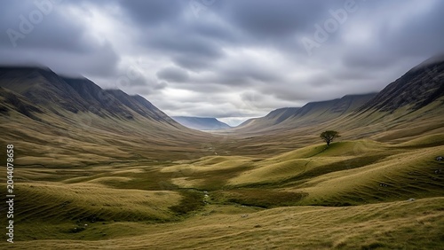 Dramatic mountain valley landscape with lone tree, moody highland scenery under cloudy sky, vast green wilderness and rolling hills