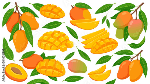 Mango Fruit and Green Leaves.