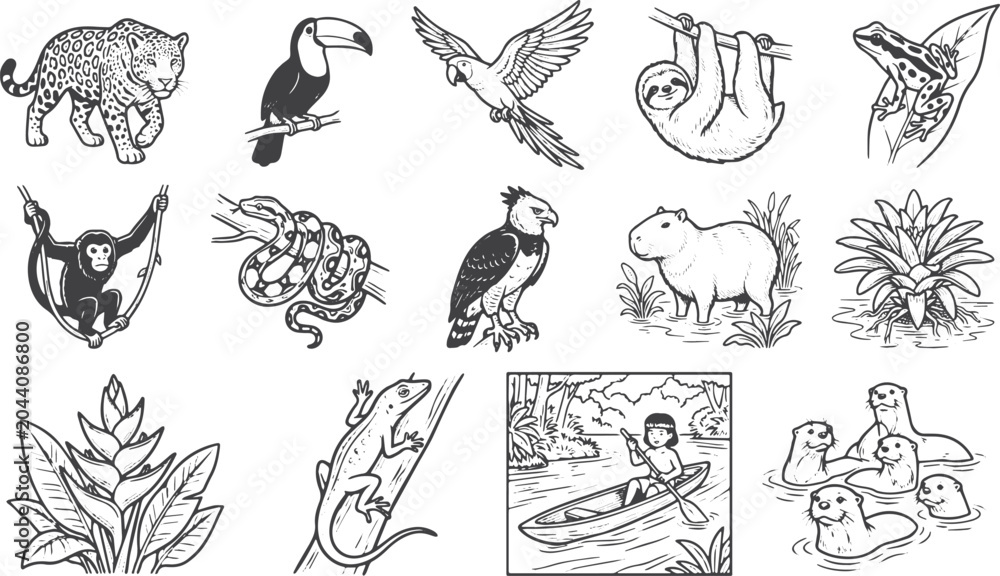Fototapeta premium Amazon Forest Ecosystem Set