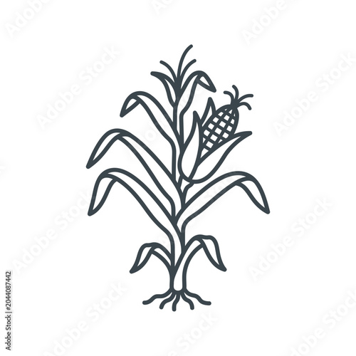 Single corn stalk line art icon with maize ear.