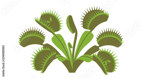 Stylized Venus flytrap carnivorous plant vector illustration isolated on white background