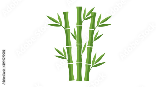 Flat vector illustration of green bamboo stalks with leaves isolated on white