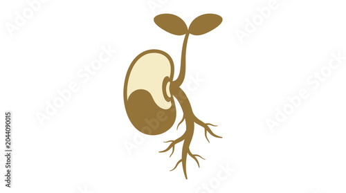 Vector illustration of a germinating seed with root system and small leaves