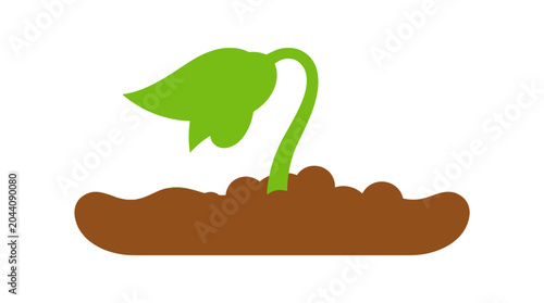 Small green plant sprout growing from brown soil isolated on white