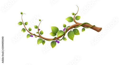 Vine Branch with Leaves and Flowers.