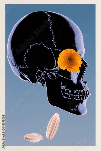 Human skull profile in black and blue with yellow flower in the eye socket on a paper background for medical art, conceptual design and editorial