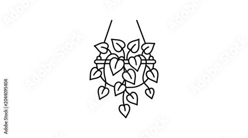 Fotografia Hanging basket with trailing heartleaf plant line art.
