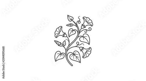 Morning glory vine with trumpet flowers line art