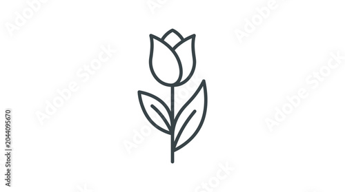 Photos Minimalist single tulip flower with stem and leaves line art.